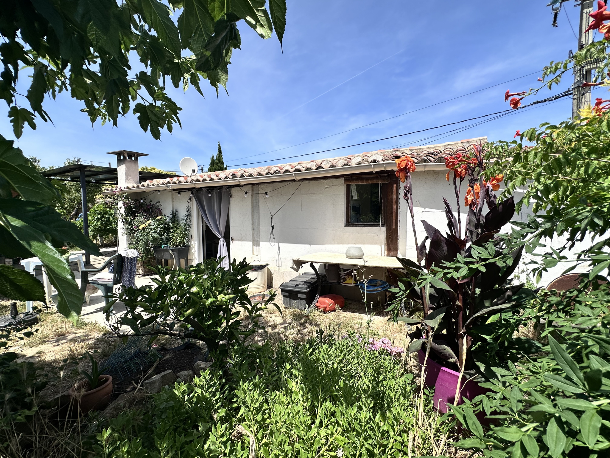Mazet en pleine nature d'environ 46m2 sur 1100m2 de terrain
