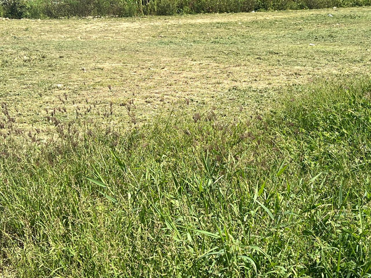 Le Moule -Terrain constructible 628m2