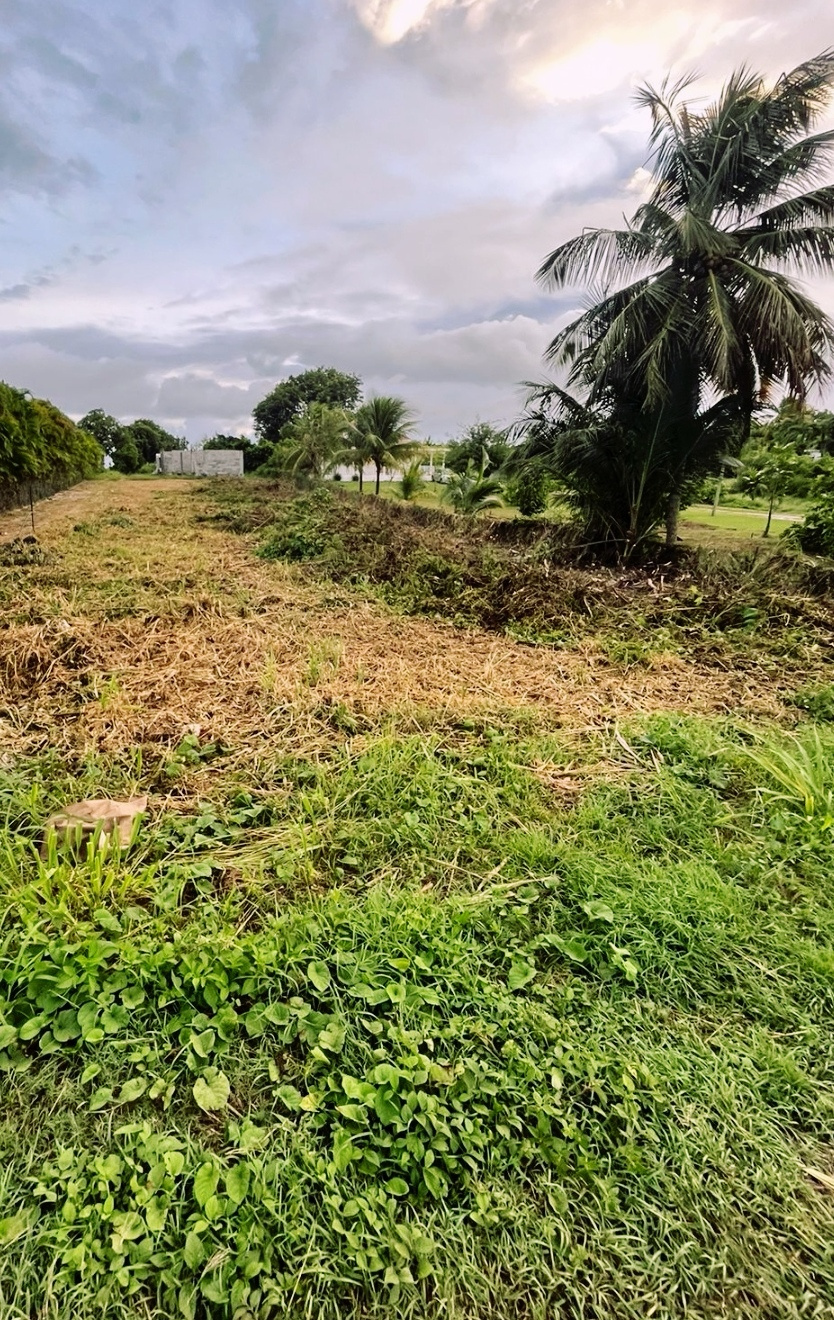 Guadeloupe Le Moule, terrain constructible de 900m2