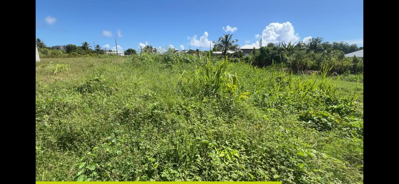 Le Moule -Terrain constructible 726m2